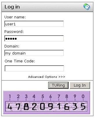 _images/Citrix_Presentation_Server_Turing_login2.jpg