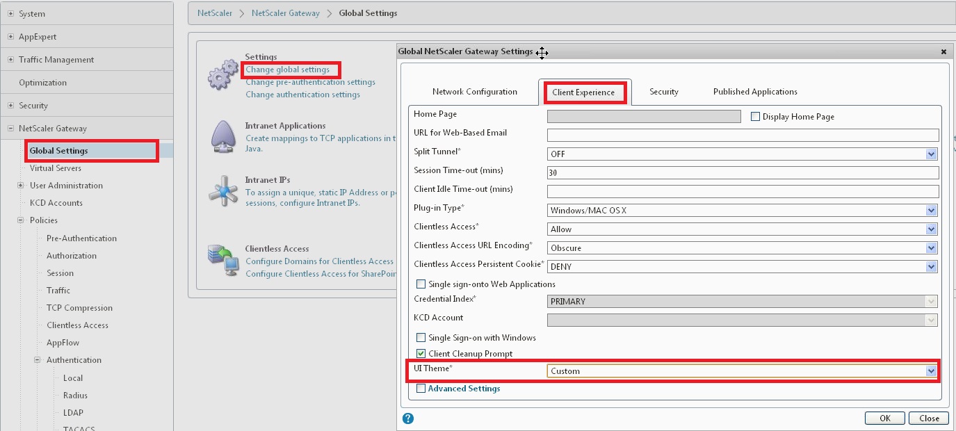 _images/Netscaler_10_UI_custom.jpg